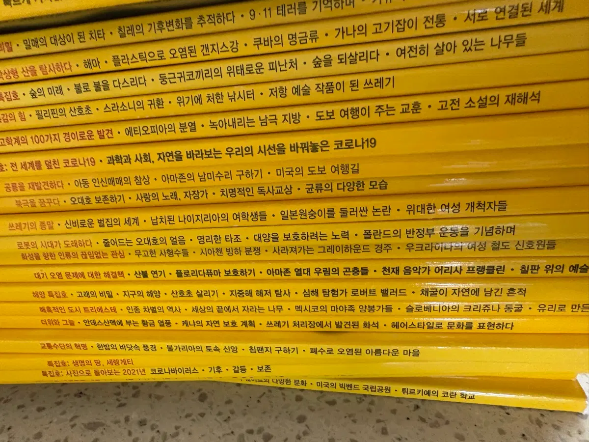 내셔널 지오그래픽 매거진