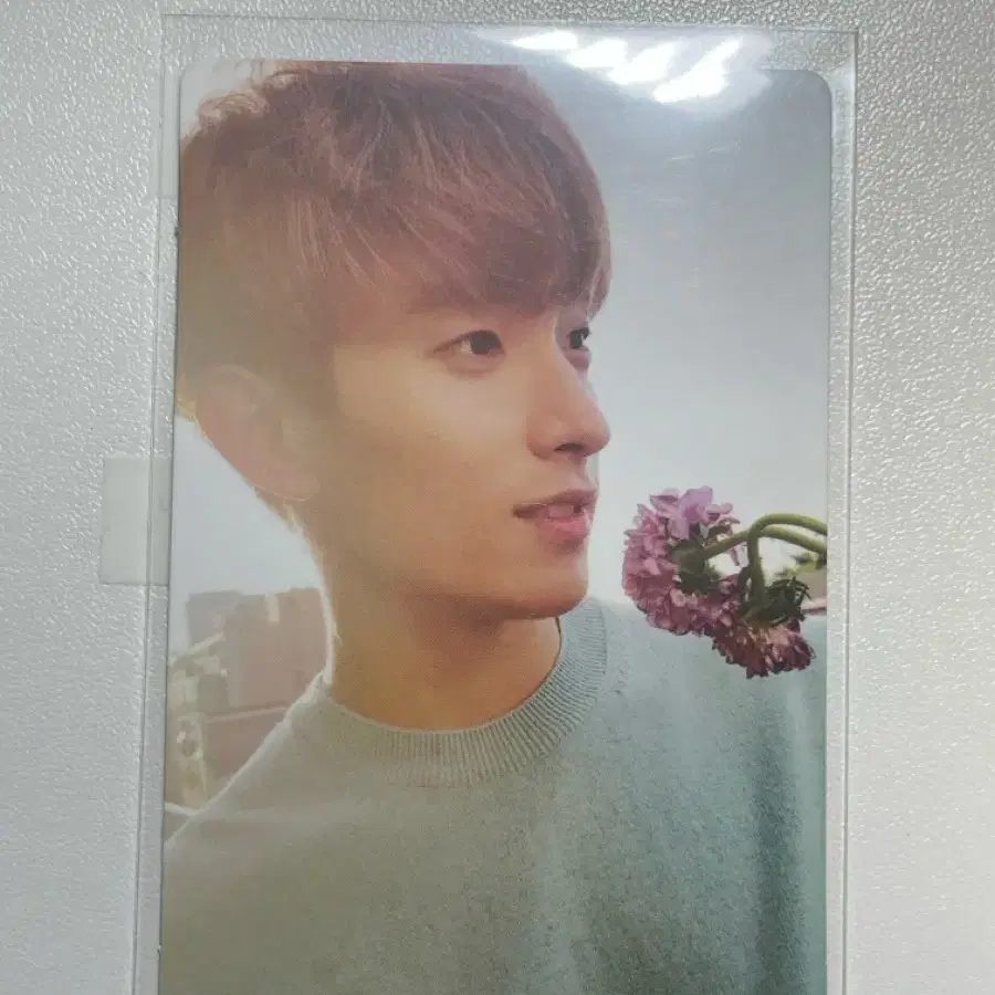 세븐틴 도겸 틴에이지 박수 포카