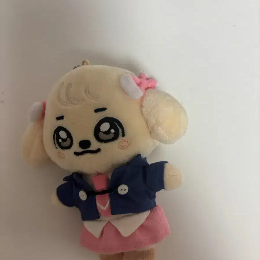 미니브 스쿨 강안지