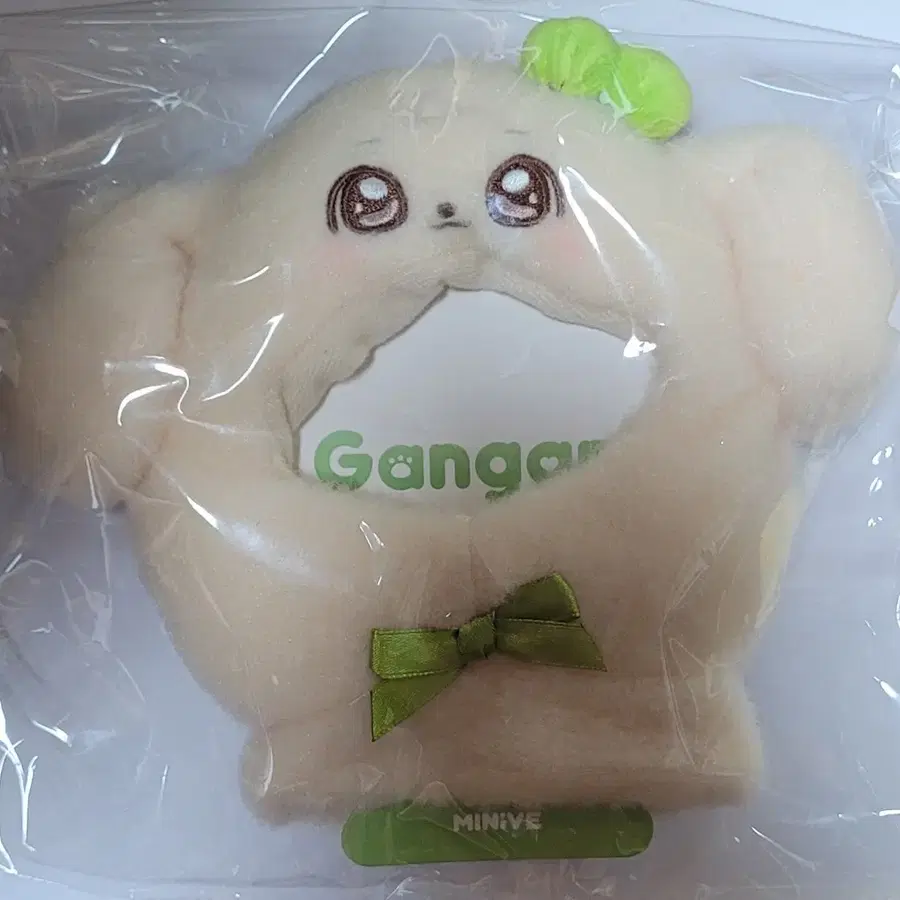 아이브 유진 미니브 강안지 응원봉 케이프 아이브
