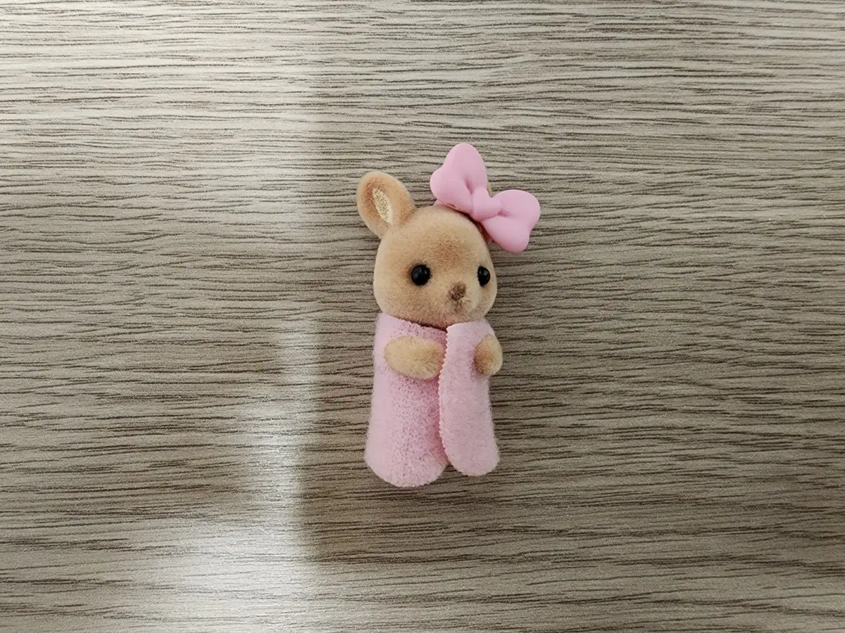 실바니안 블라인드백 캥거루 아기