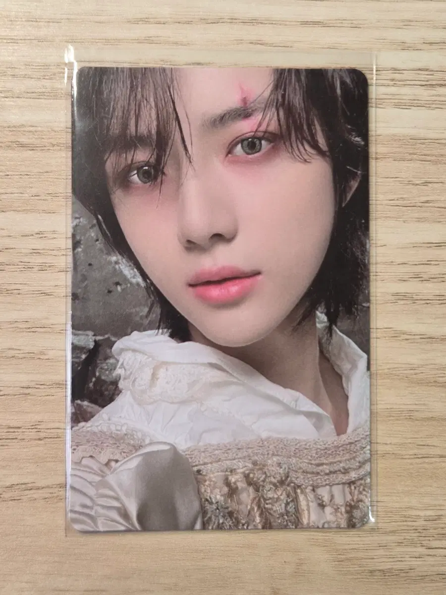 혼돈의장 프리즈 범규 포카