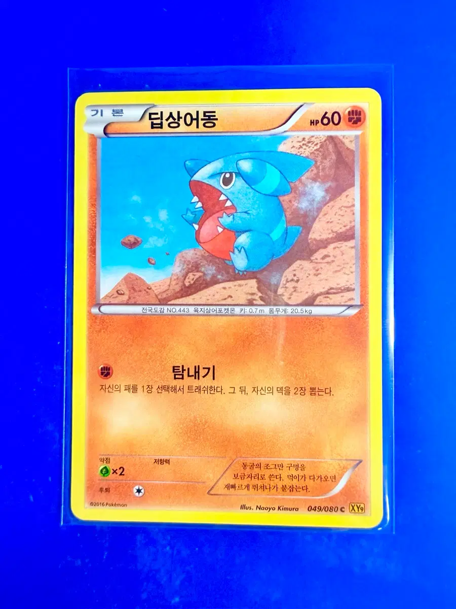 포켓몬카드 2016년 고대카드 XY9 딥상어동 카드