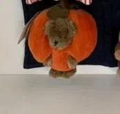 보이즈베어 쪼꼬미 베어 호박