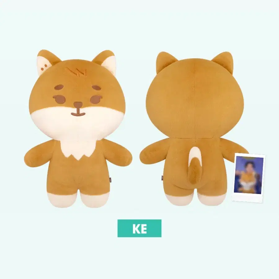 데이식스 자쁘멀케 + 쁘쁘멀 케 일괄 양도합니다