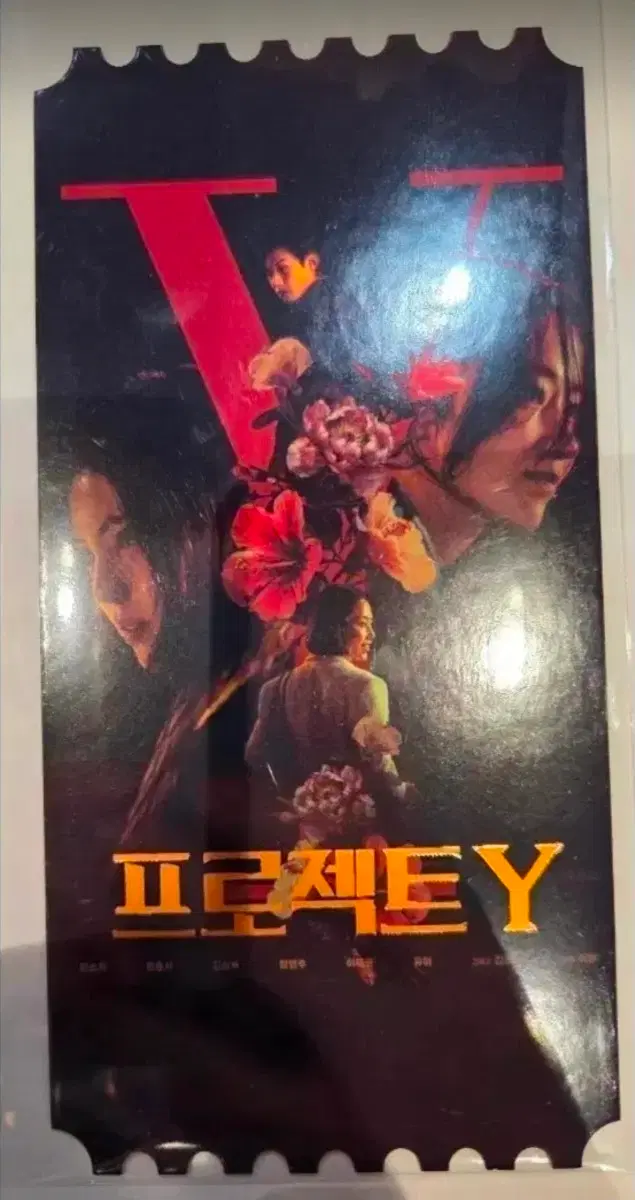 프로젝트y 오리지널티켓