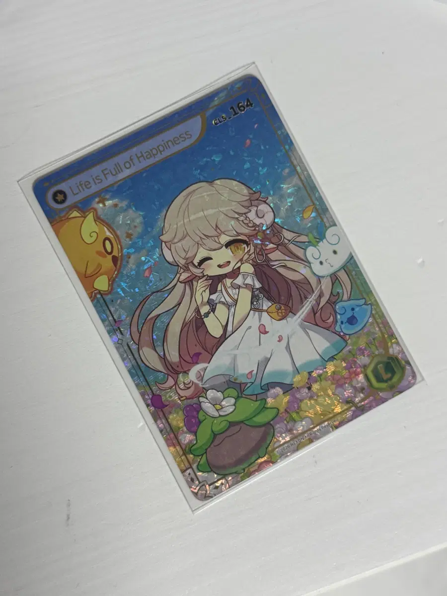 메이플컬렉션카드 대만판 레전 라라