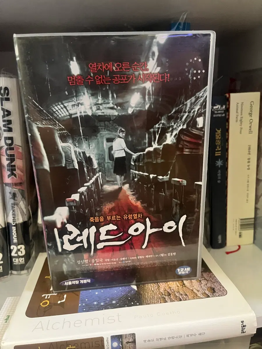 레드아이 비디오