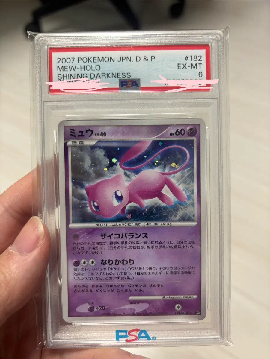 2007 포켓몬카드 뮤 dp 홀로 일판 PSA 6
