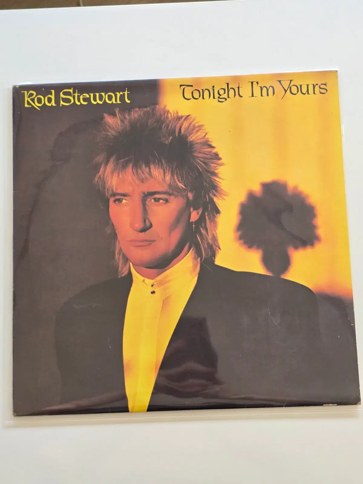 Rod Stewart 로드 스튜어트 LP / Tonight I'm Yours/MINT,NM-/가사지