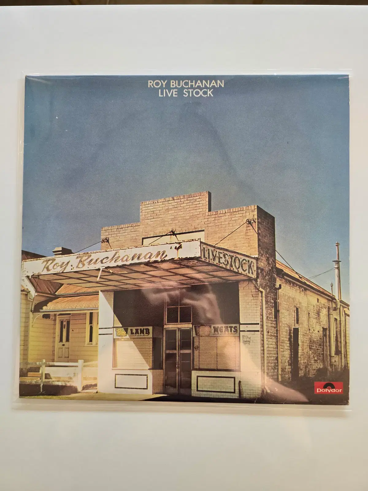 Roy Buchanan 로이 부캐넌 LP / Live Stock/MINT