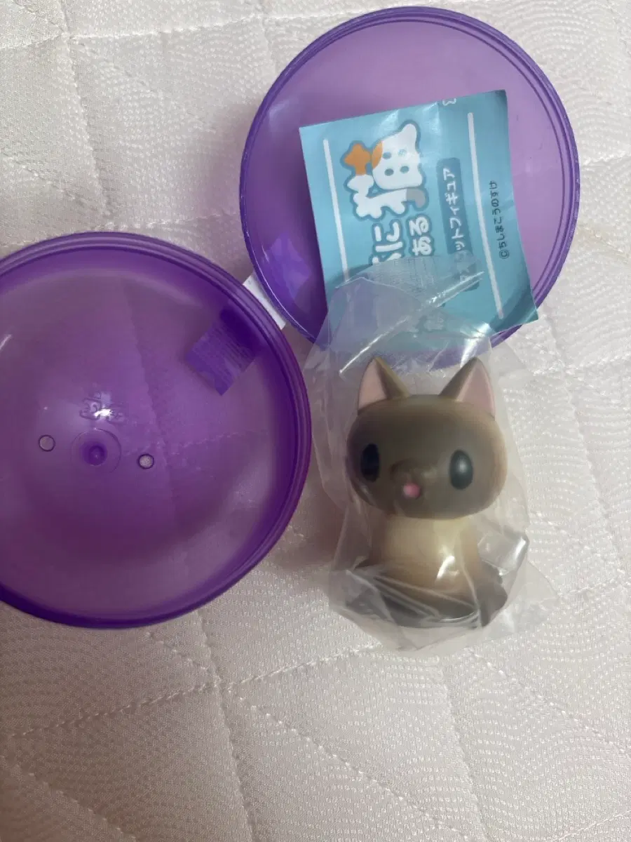(미개봉)액체가 되어가고 있는 고양이 가챠 샴 피규어