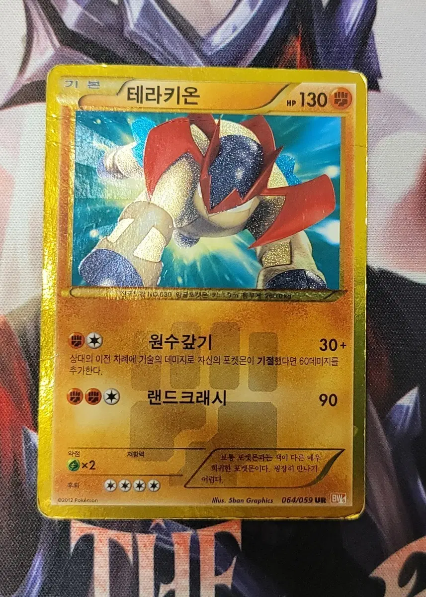 포켓몬카드 테라키온 BW UR 교환