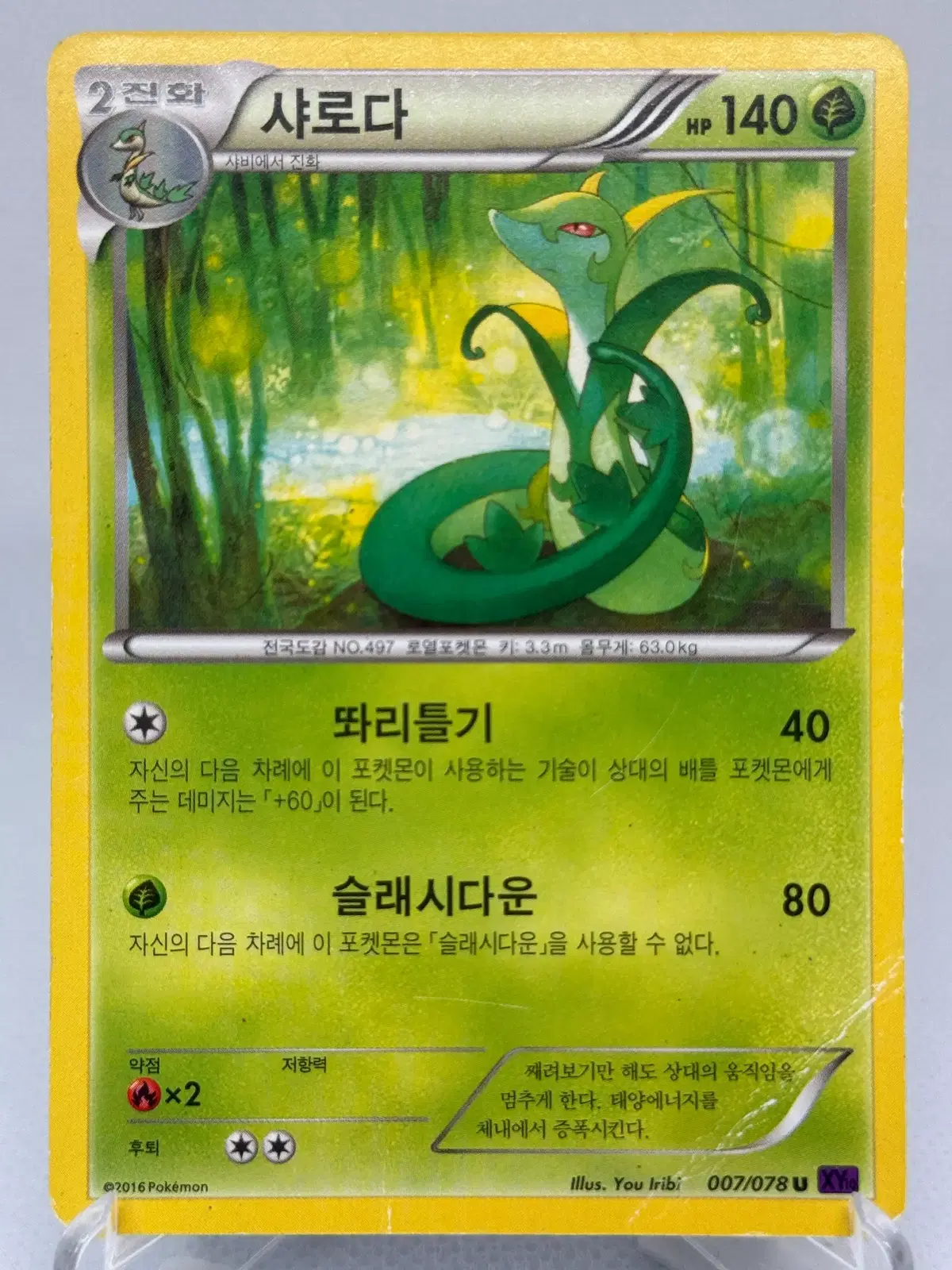 포켓몬카드 XY 샤로다 [XY10 007/078] 한글판 일반카드