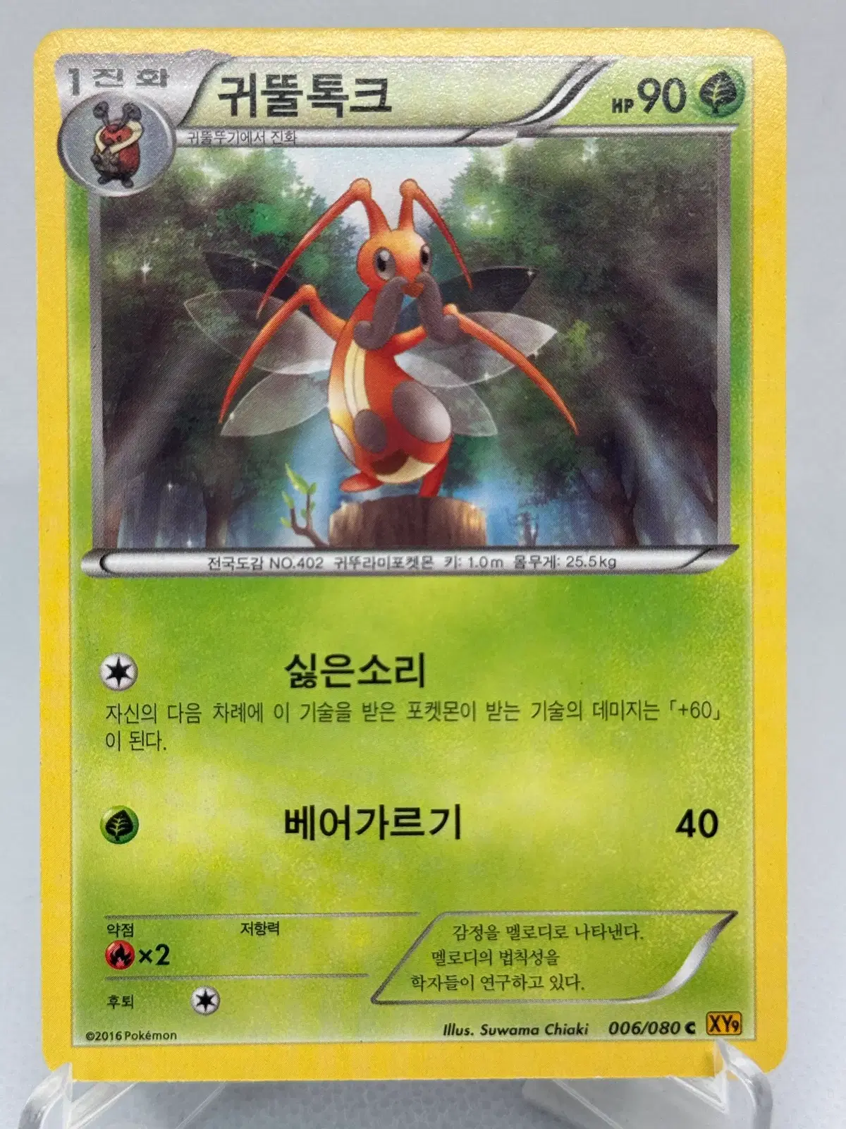 포켓몬카드 XY 귀뚤톡크 [XY9 006/080] 한글판 일반카드