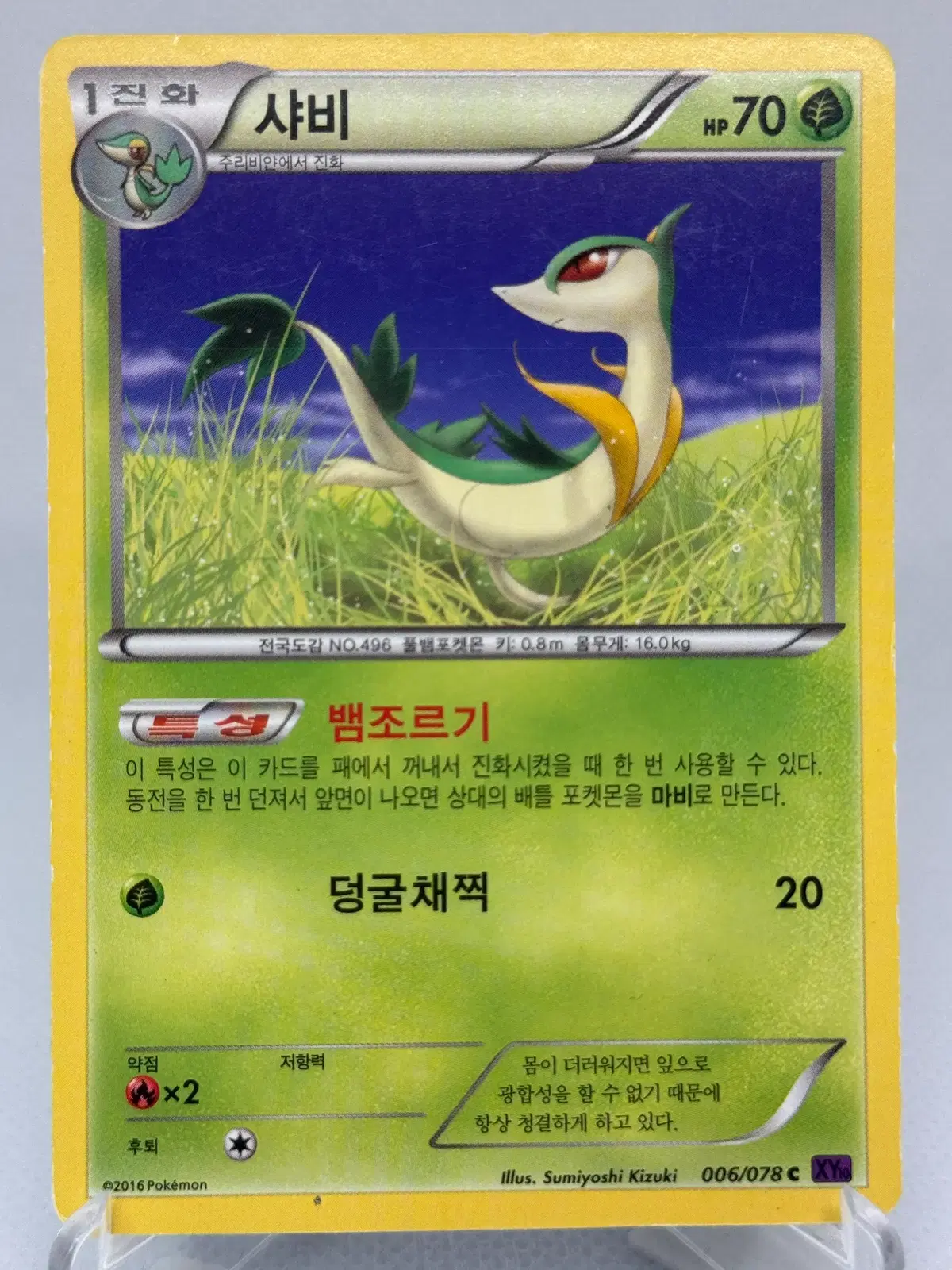 포켓몬카드 XY 샤비 [XY10 006/078] 한글판 일반카드