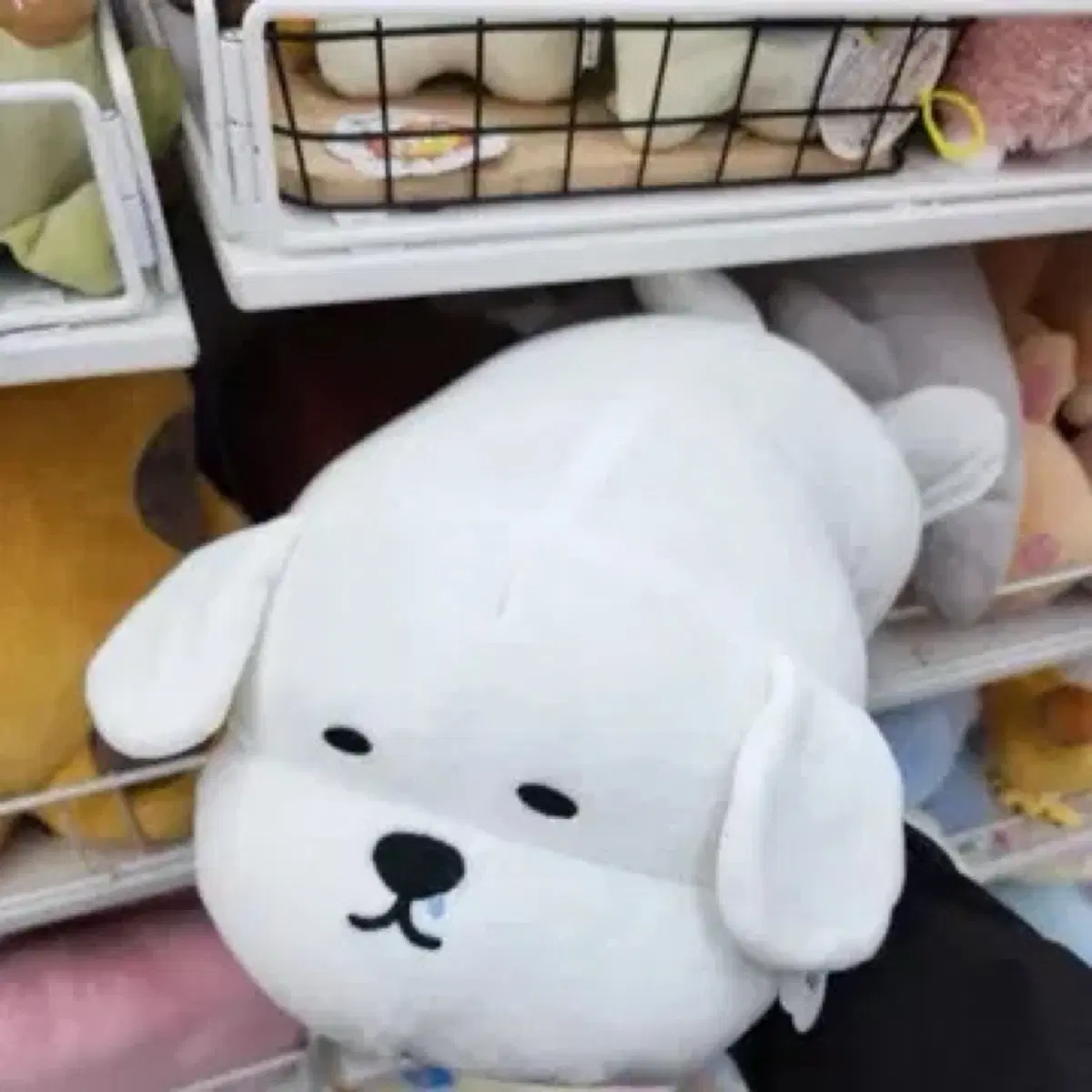 삽니다) 다이소 왈왈강아지인형 구해요/구매해요