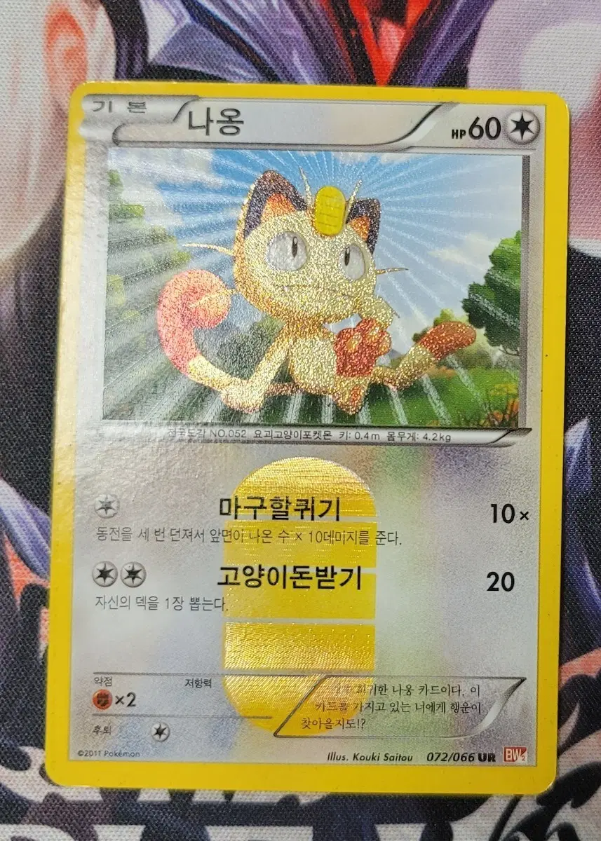 포켓몬카드 나옹 BW UR 교환