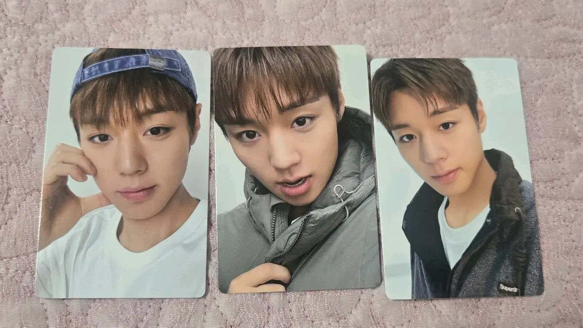 박지훈 슈퍼드라이 포토카드 급처