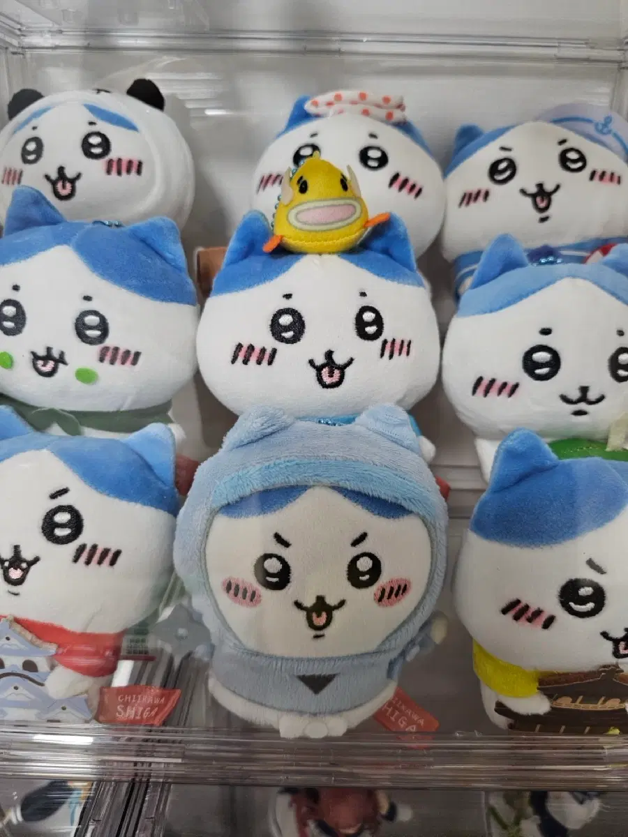 우사기 하치와레 마스코트
