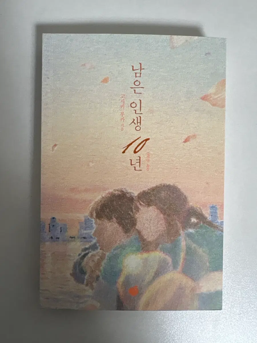 남은 인생 10년 소설책