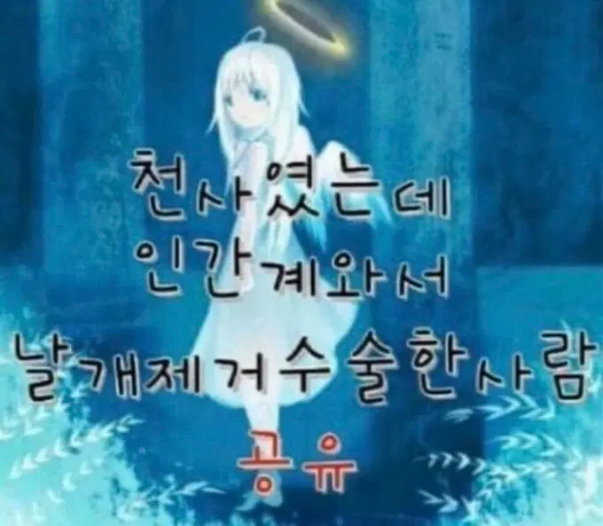잼컨 잼예썰 연애썰 풀어주세요