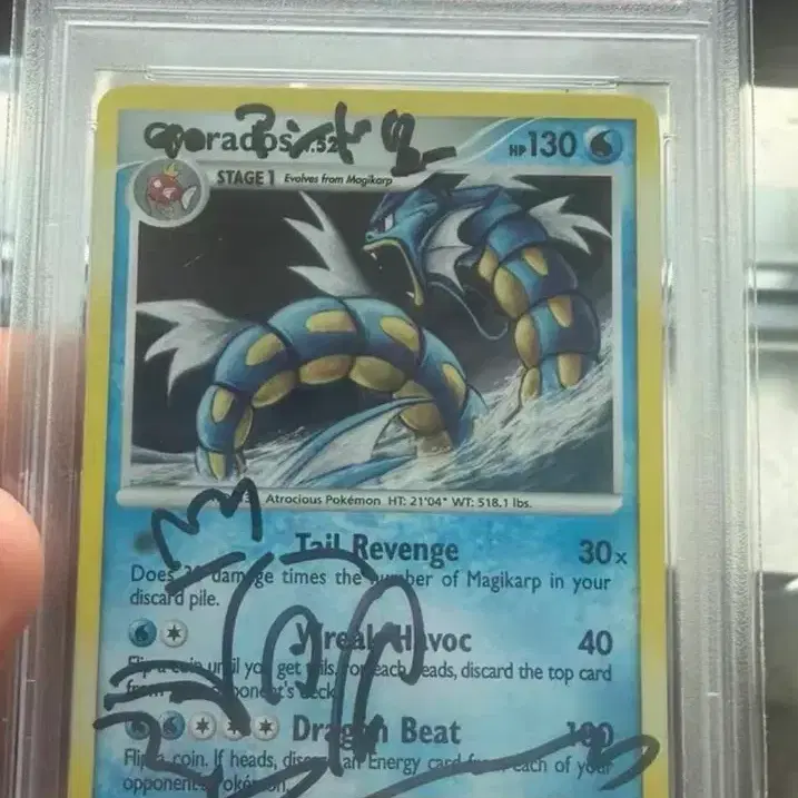 포켓몬 PTCG 포켓몬 카드 갸라도스 PSA 8 사인 카드 사진 1
