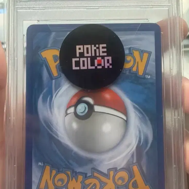 포켓몬 PTCG 포켓몬 카드 갸라도스 PSA 8 사인 카드 사진 2