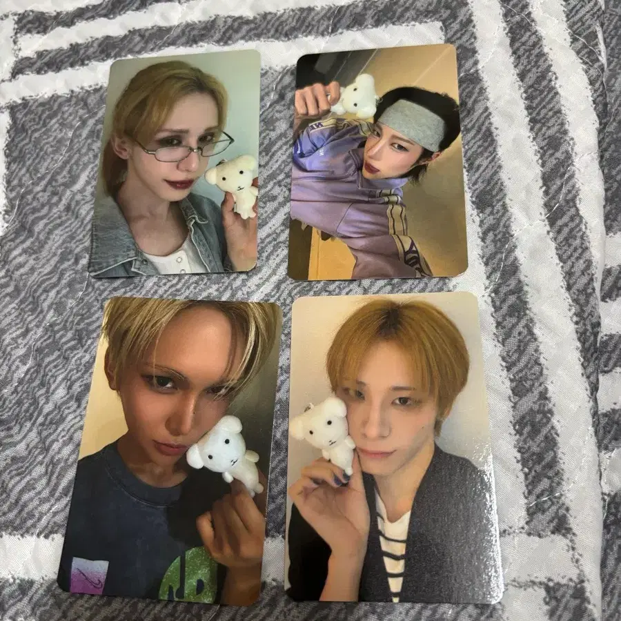 xlov 포카