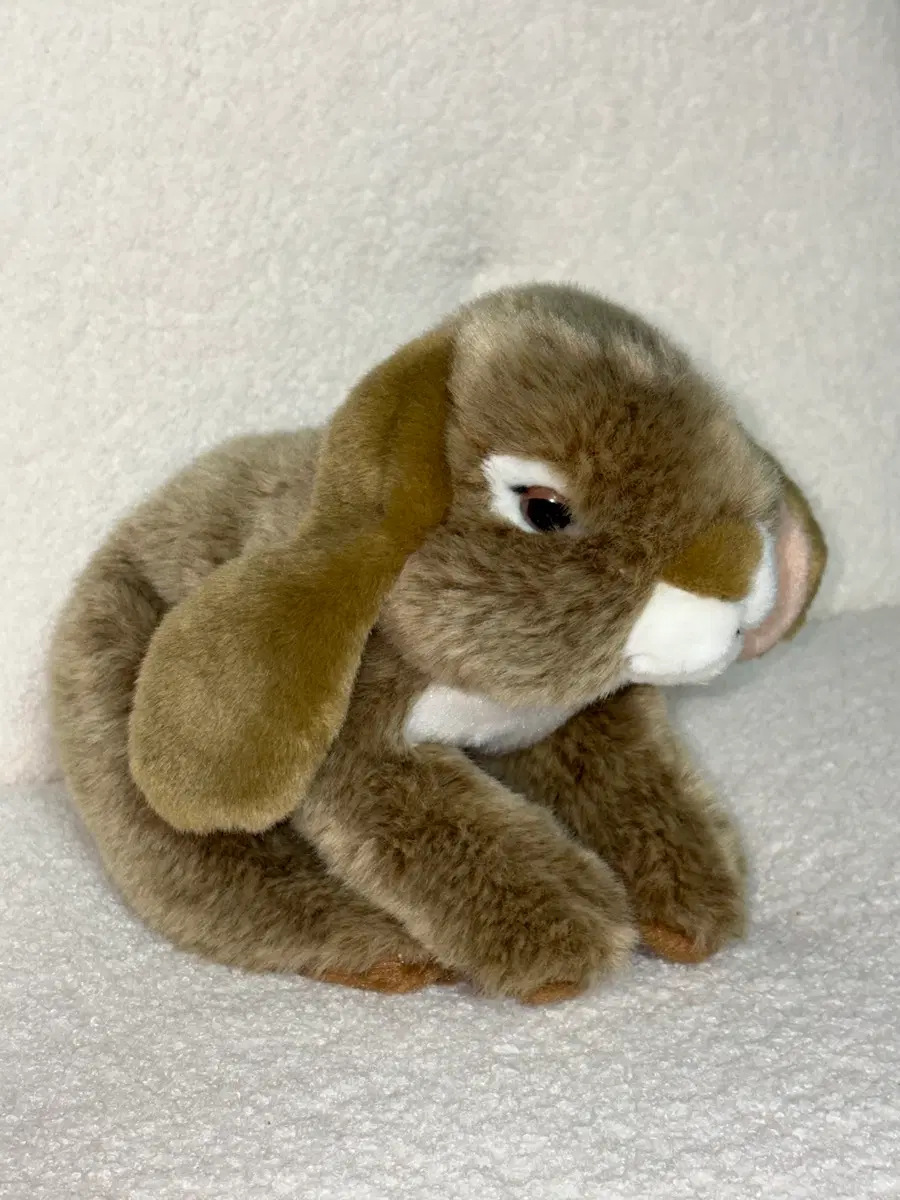 브라운 토끼 인형 판매