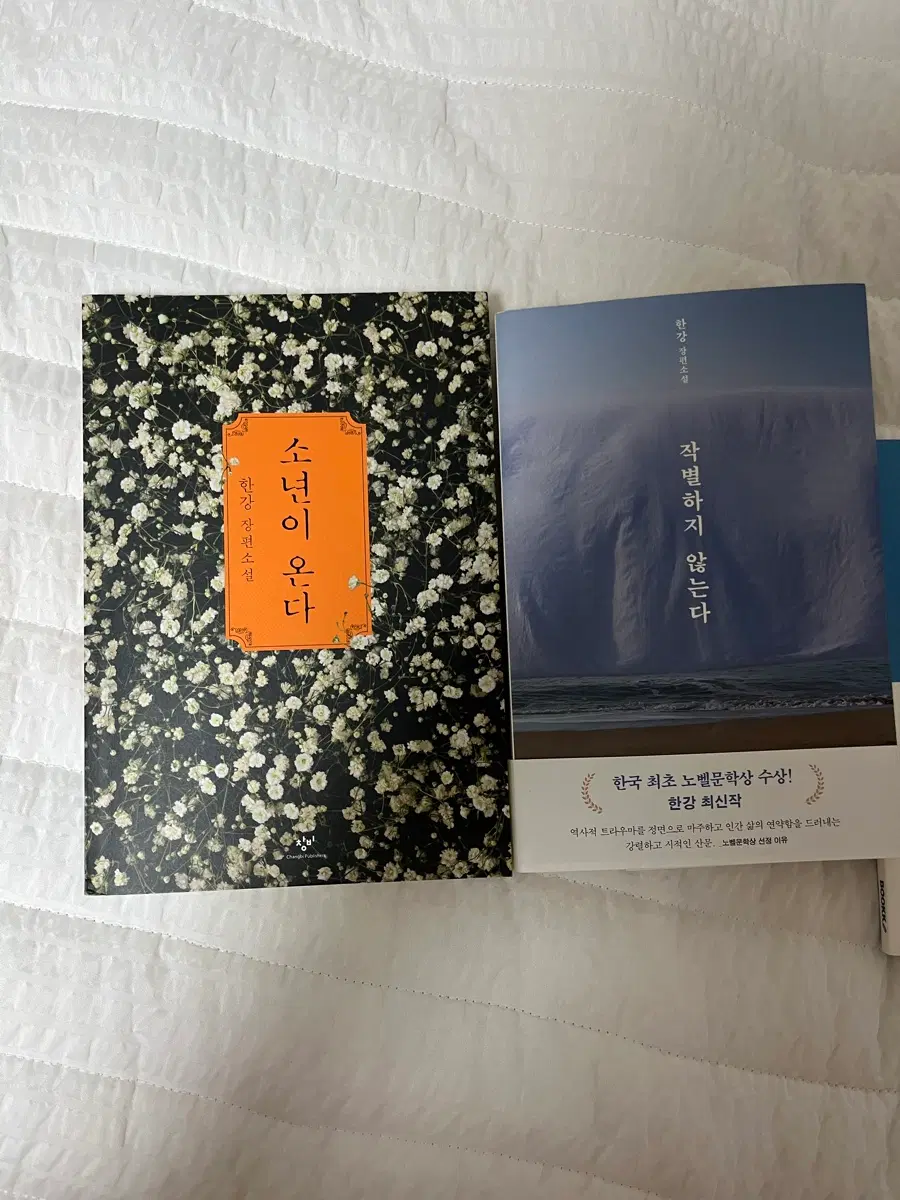 한강작가 소년이온다,작별하지 않는다