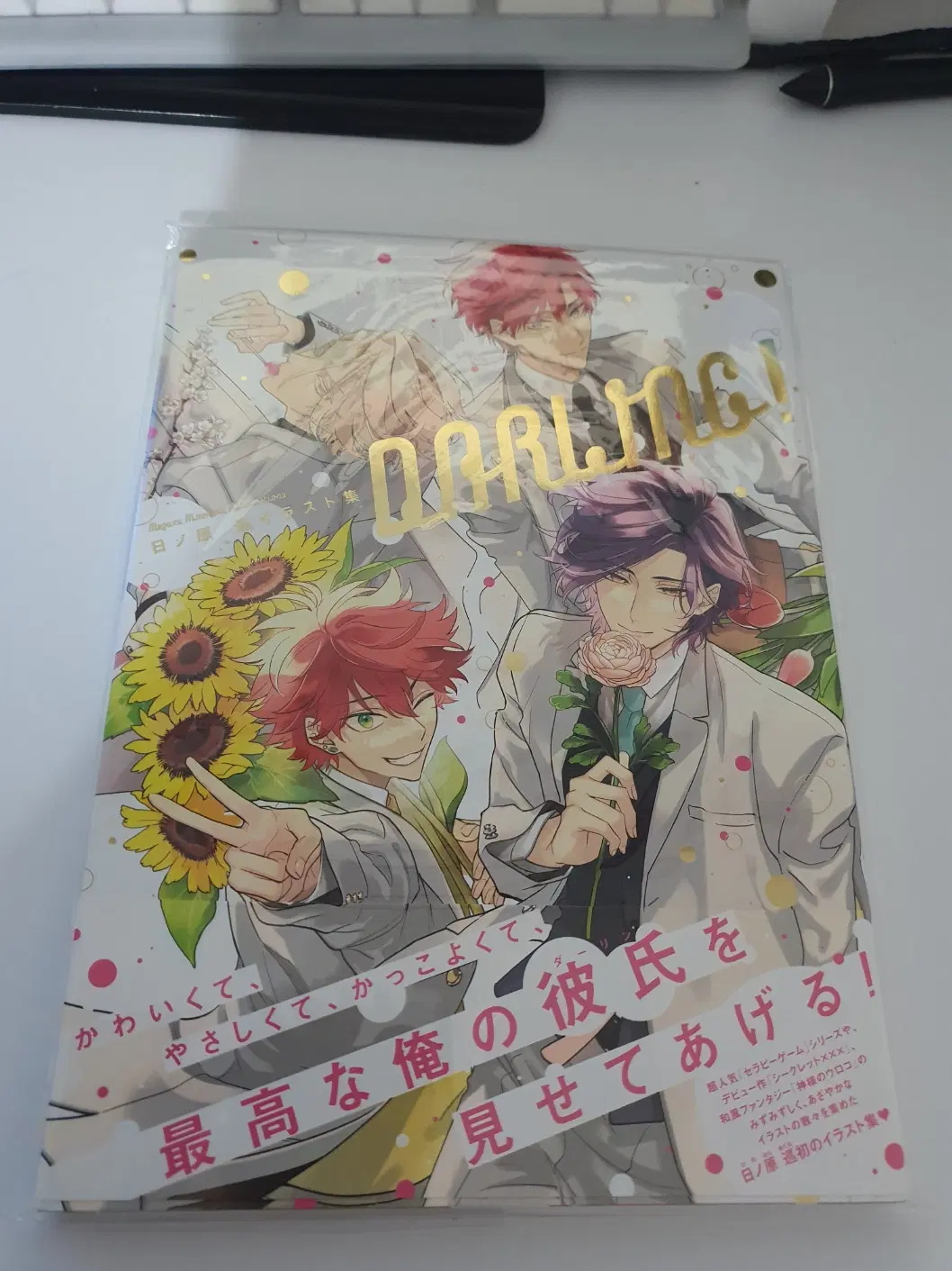 히노하라 메구루 일러스트집 DARLING!