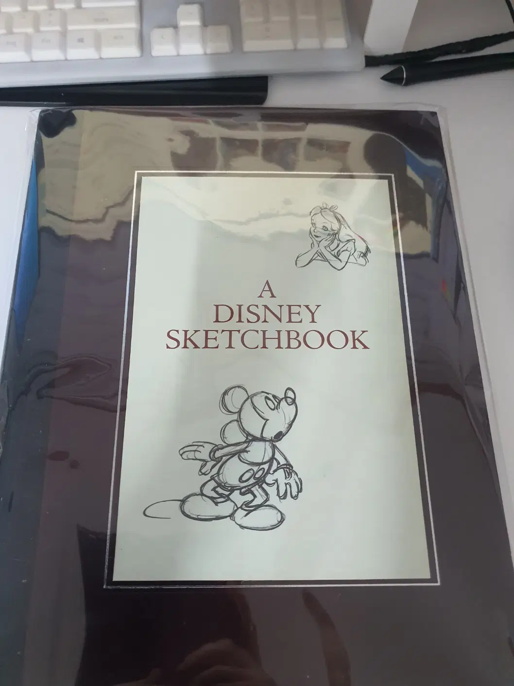 디즈니 스케치북 (DISNEY SKETCHBOOK)