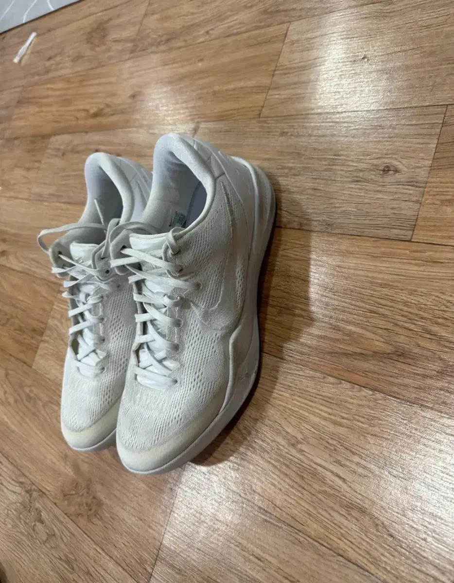 나이키 코비 농구화 270