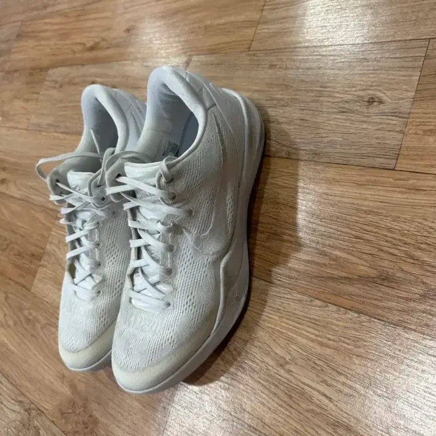 ナイキ コビー バスケットボールシューズ270