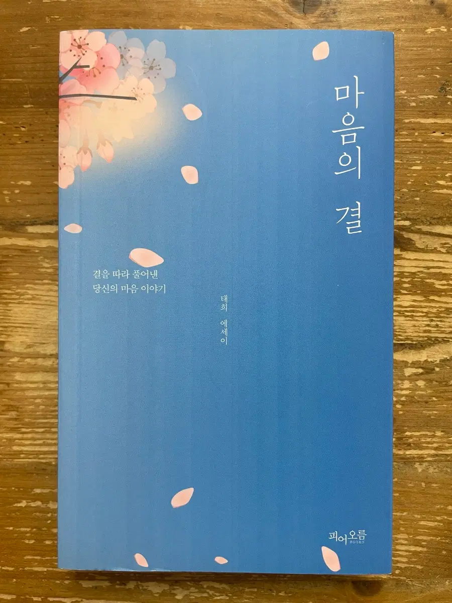 마음의 결 - 태희