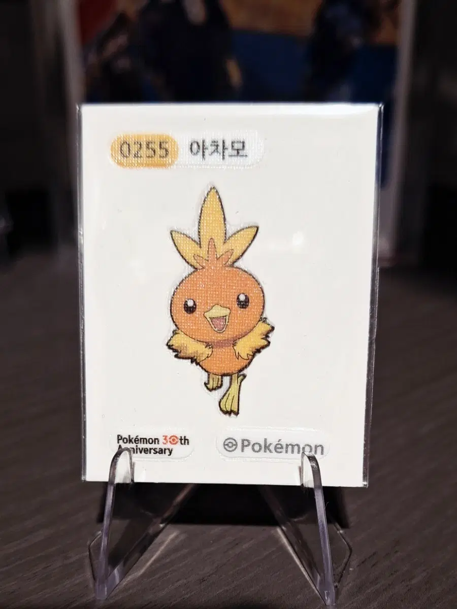 포켓몬스터 띠부실 아차모 30주년 기념