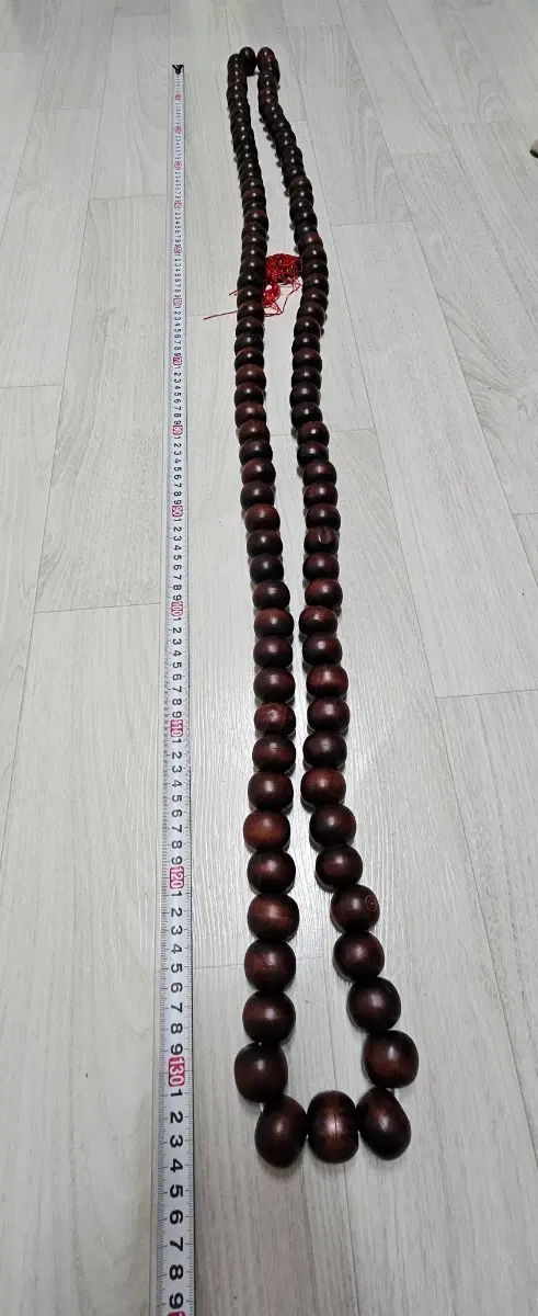 108염주 나무