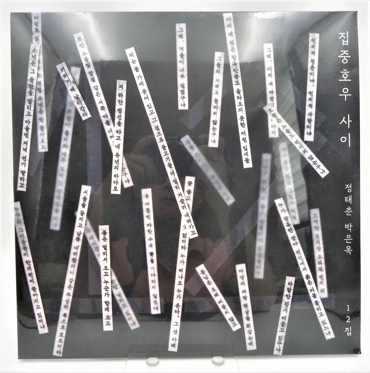[미개봉/한정판] 정태춘 박은옥 12집 - 집중호우 사이 한정반 LP (180g)