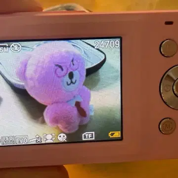 デカデジタルカメラピンク
