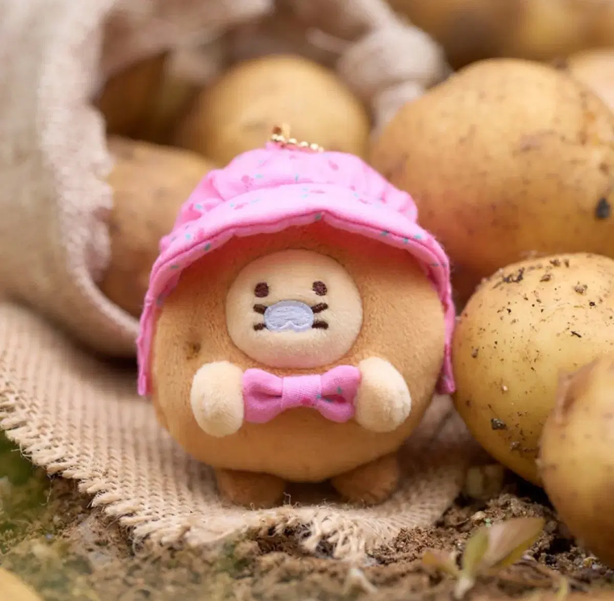 폼폼푸린 춘식이 콜라보 분철