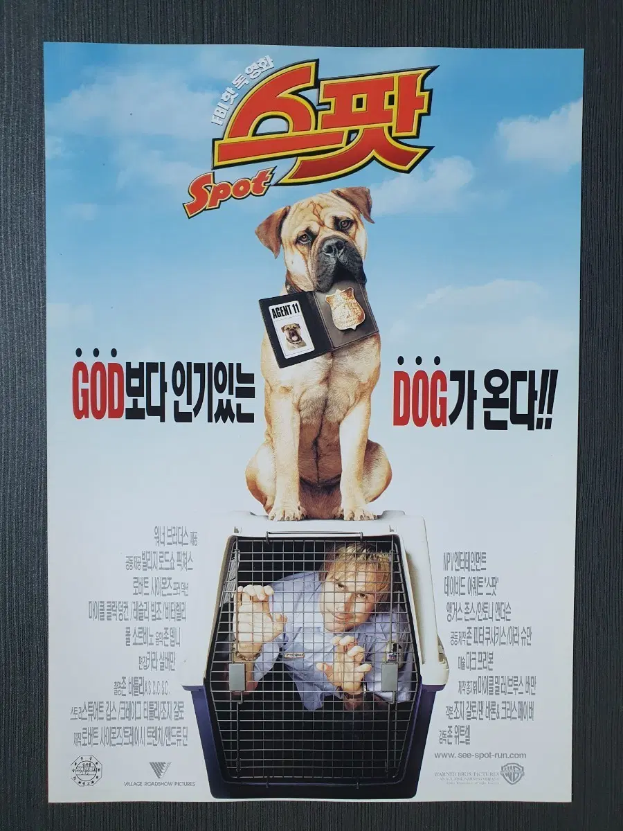 스팟 영화 전단지 팜플렛 A4
