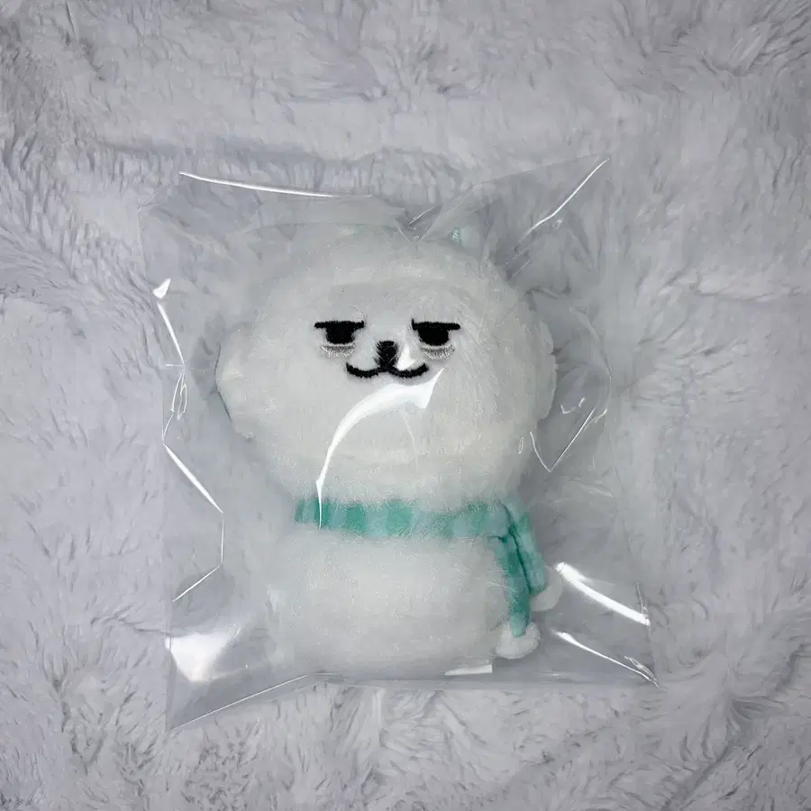 홀리데이 뿔바투 용멍