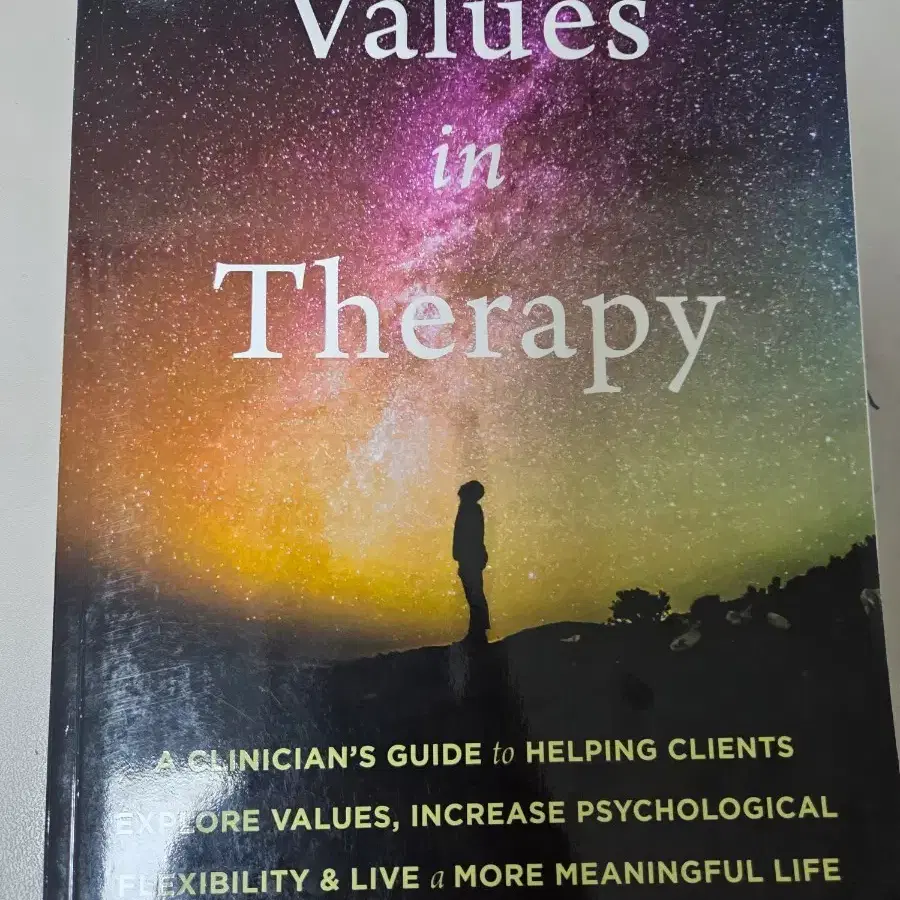 영어원서 Values in Therapy(ACT가치기반수용전념치료)