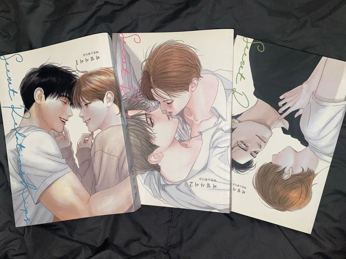 비밀사이 단행본