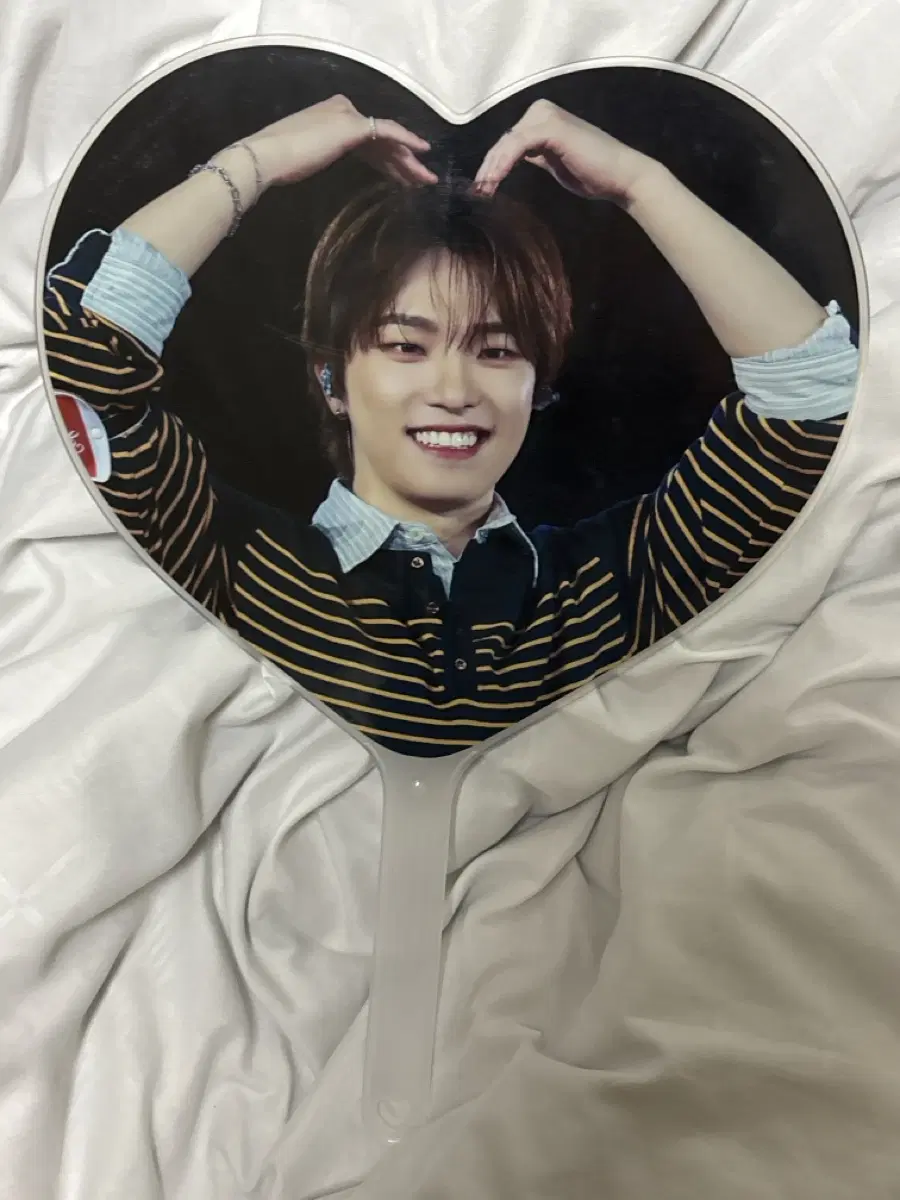 세븐틴 디노 우치와