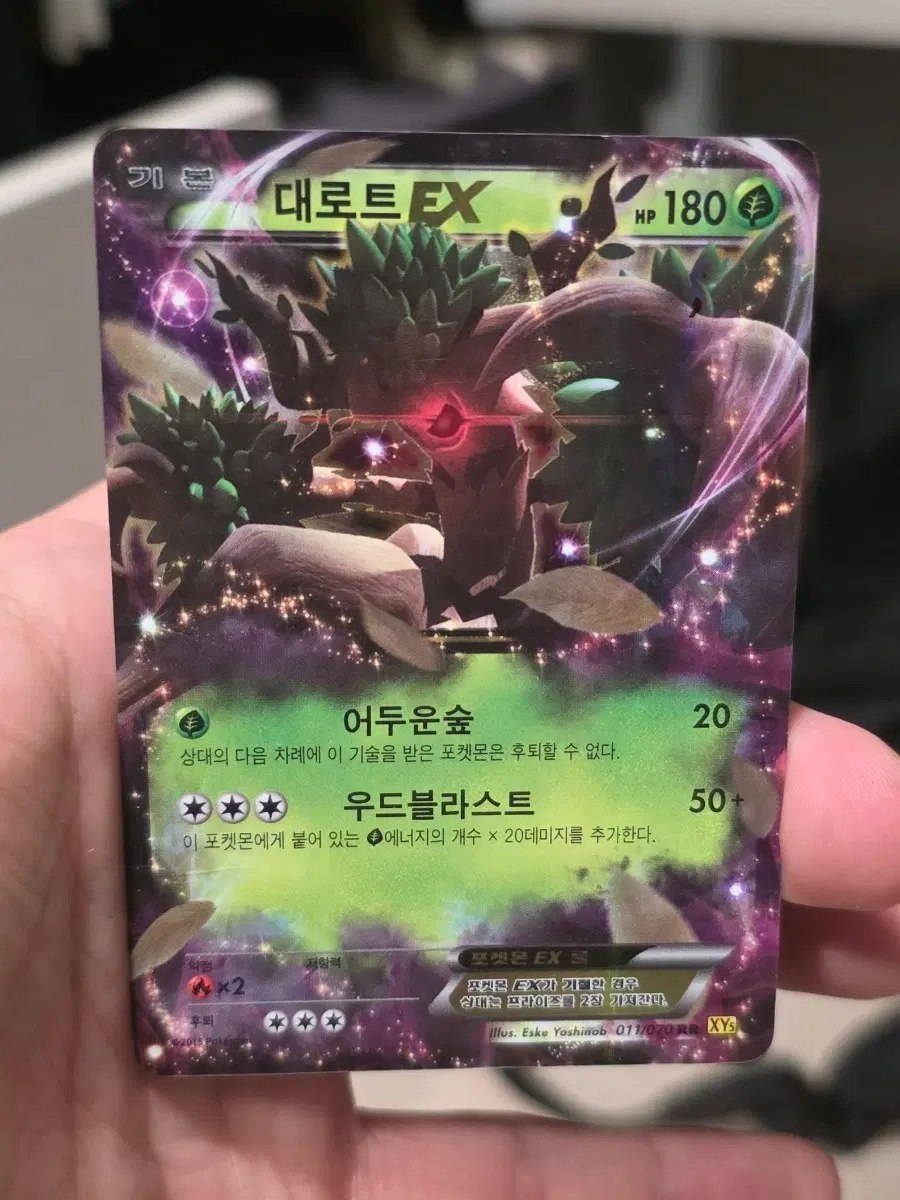 포켓몬카드 대로트 ex XY5