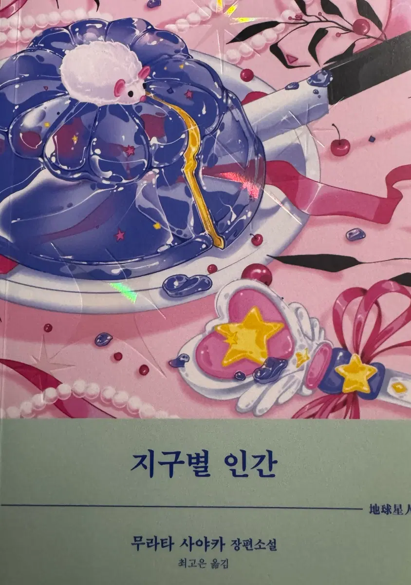 지구별 인간
