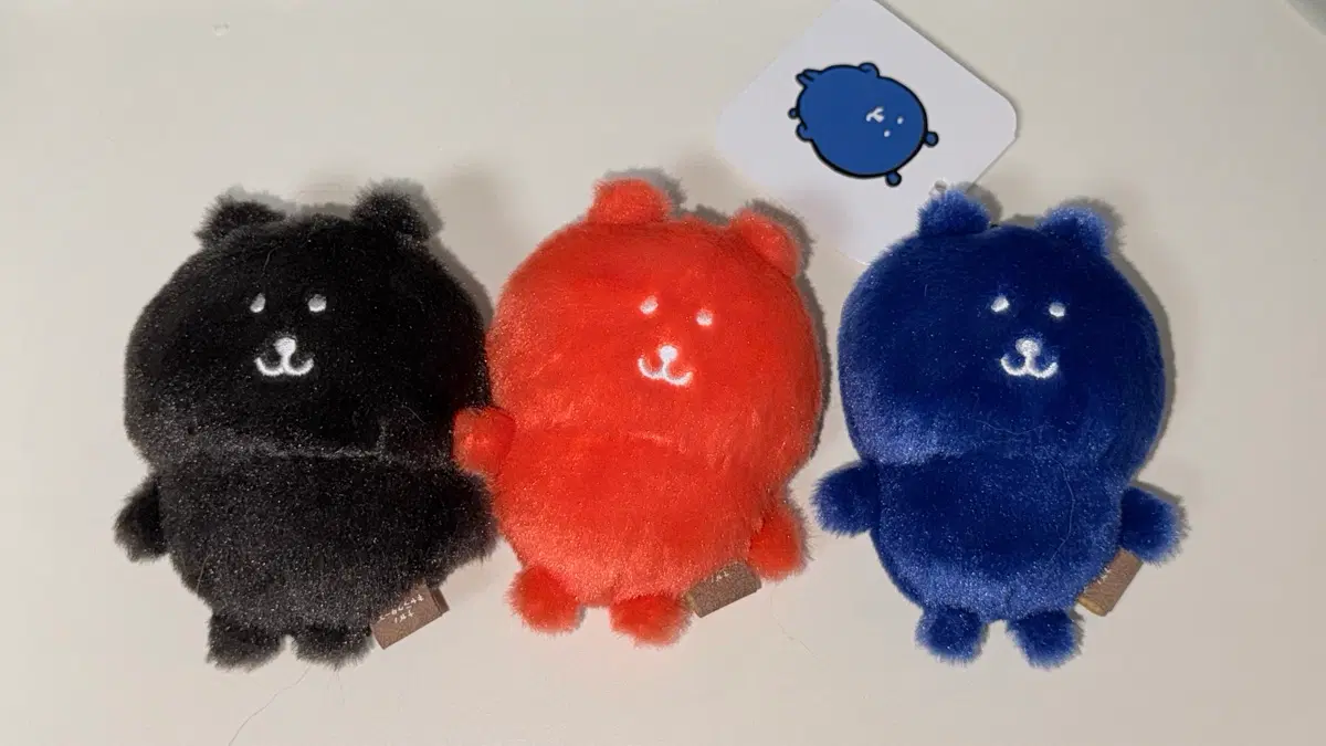 농담곰 컬러곰 레드 로얄블루 블랙