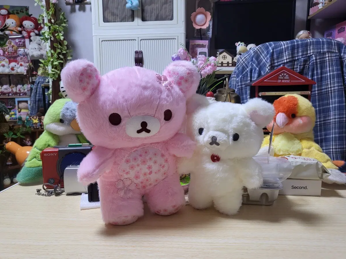 리락쿠마 인형 일괄 세트 택포